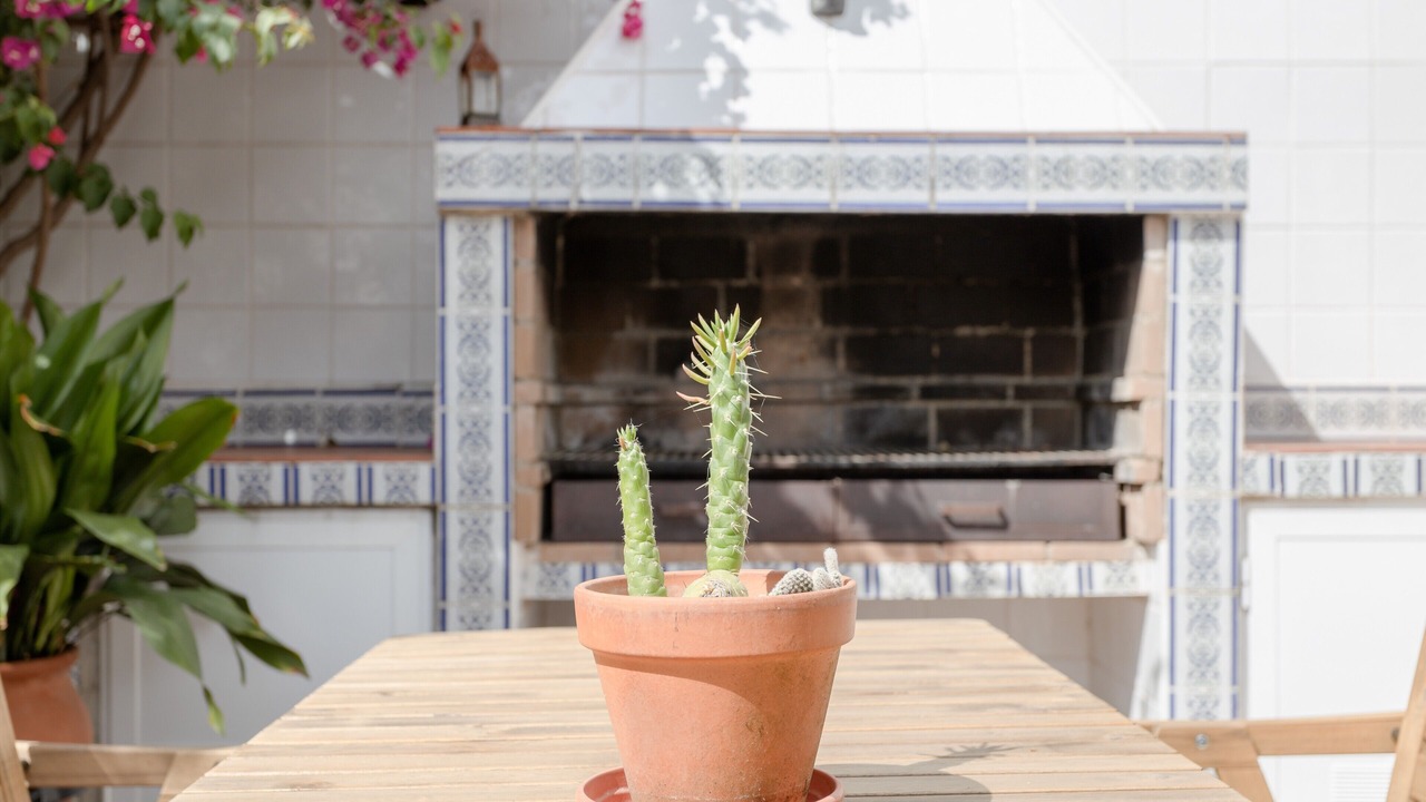 Photo of Outdoor in Caleta de Velez