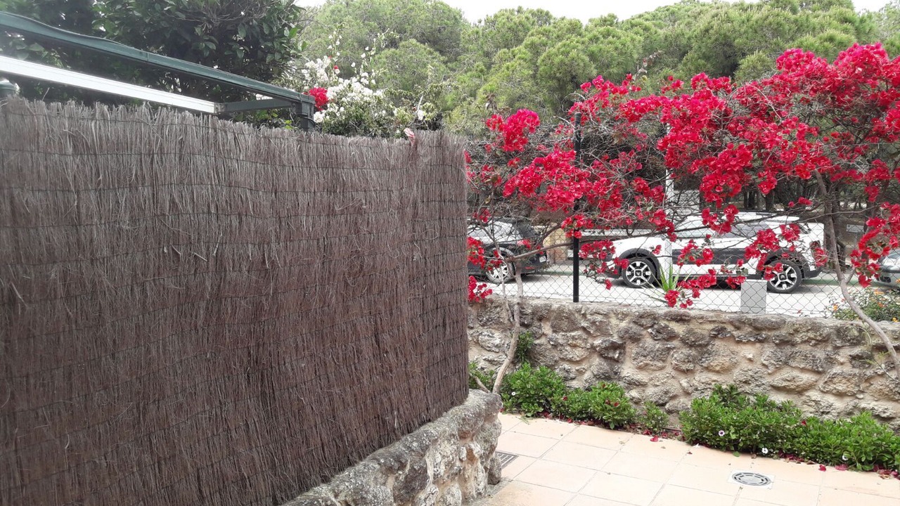 Photo of Outdoor in Rota
