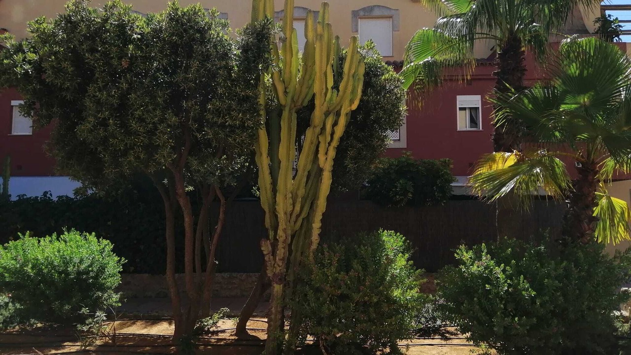Photo of Outdoor in Rota