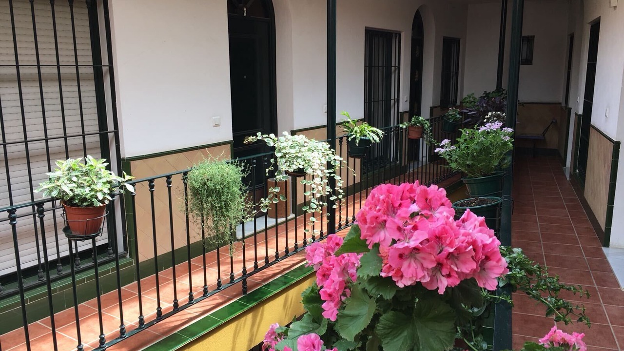 Photo of Outdoor in Feria