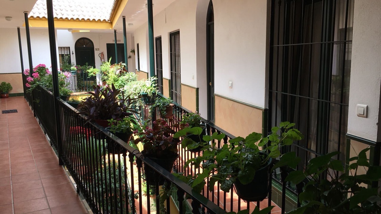 Photo of Outdoor in Feria