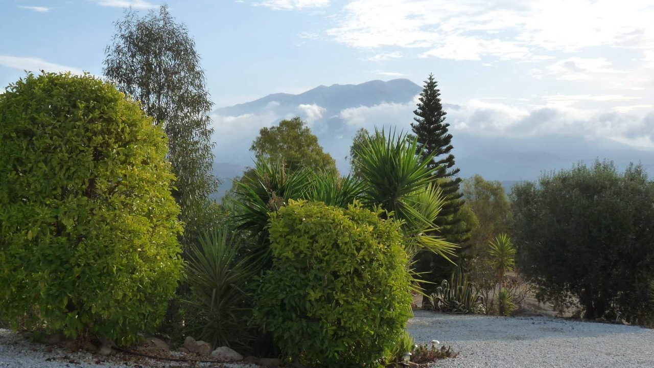 Photo of Others in Vinuela