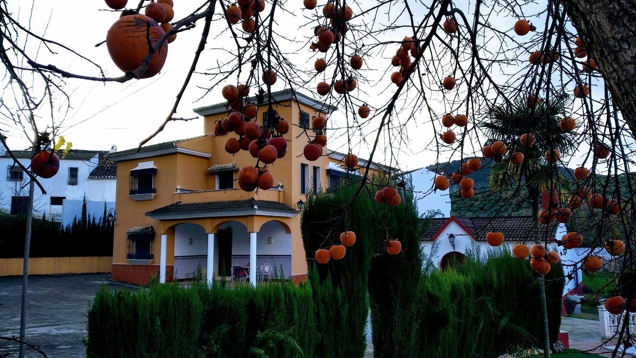 Photo of Outdoor in Priego de Cordoba