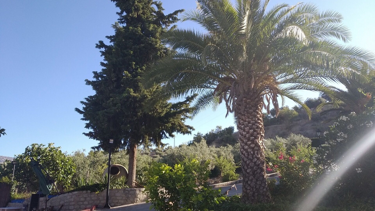 Photo of Outdoor in Priego de Cordoba