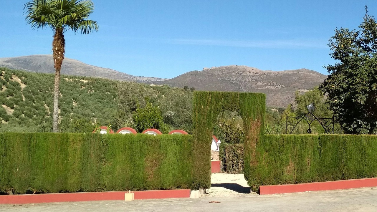 Photo of Outdoor in Priego de Cordoba