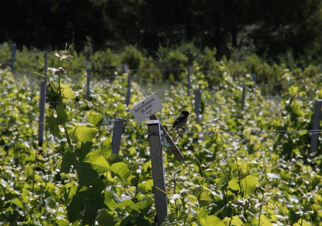 Photo of Outdoor in San Ambrosio