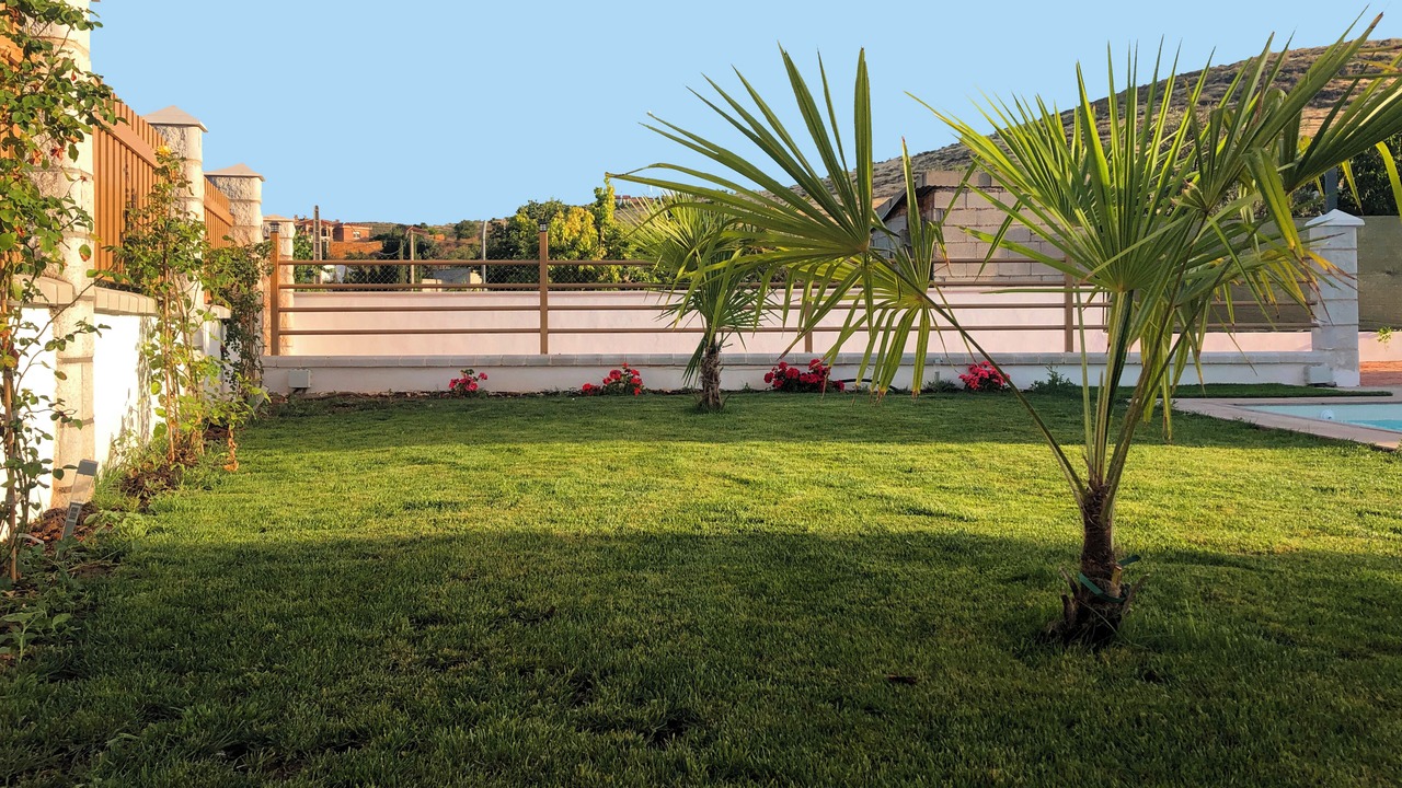 Photo of Outdoor in Padul