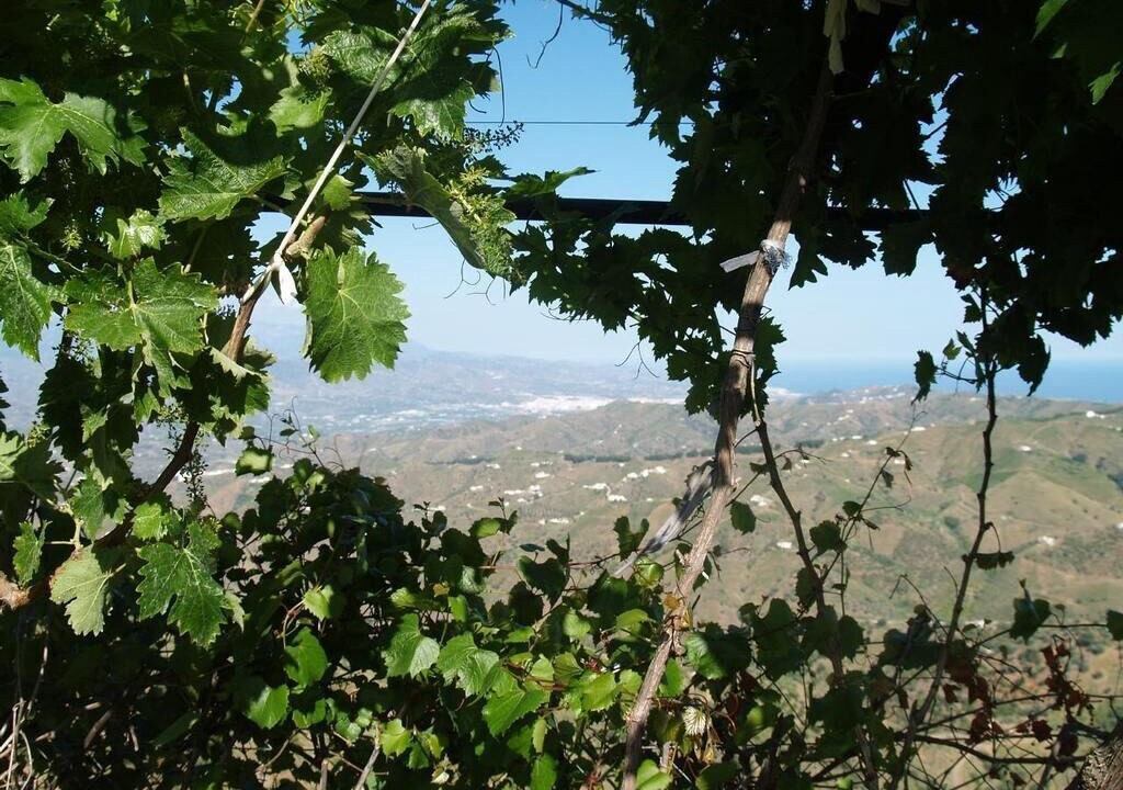 Photo of Outdoor in El Borge