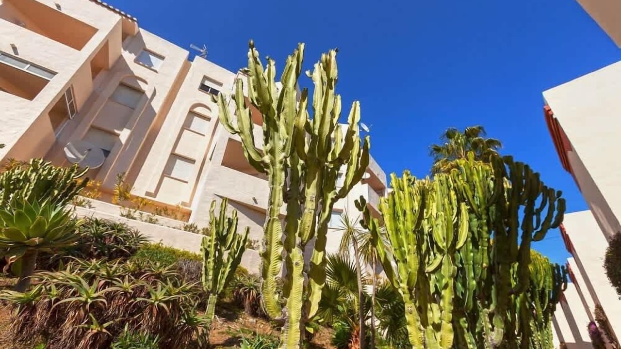 Photo of Outdoor in Mijas