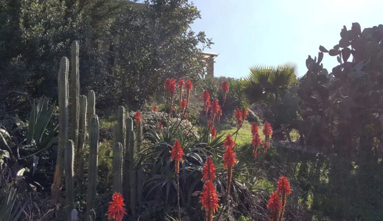 Photo of Outdoor in Tarifa