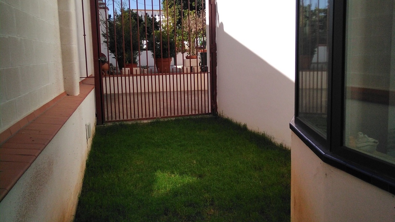 Photo of Outdoor in Villanueva del Ariscal