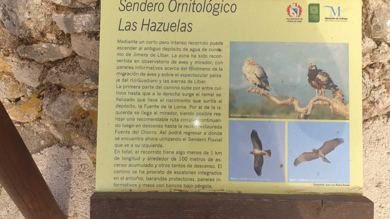 Photo of Others in Jimera de Libar