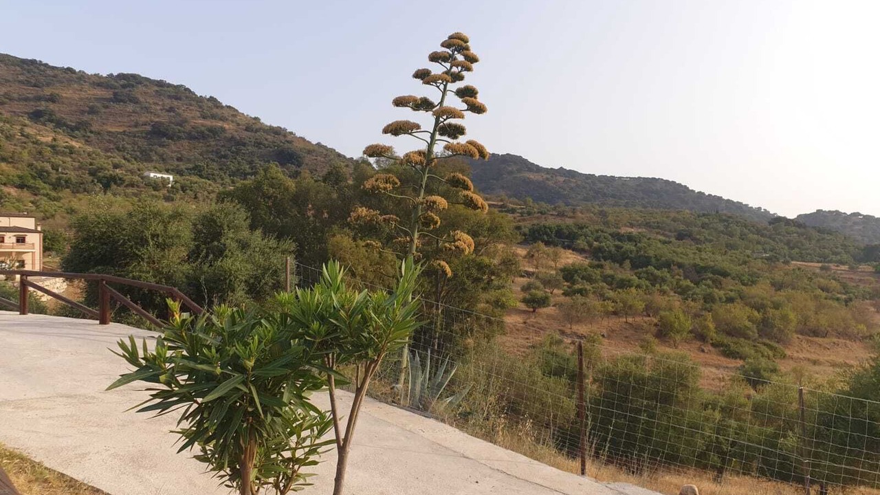 Photo of Others in Jimera de Libar