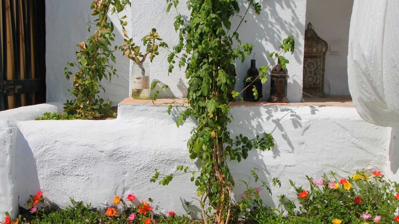 Photo of Outdoor in Trapiche