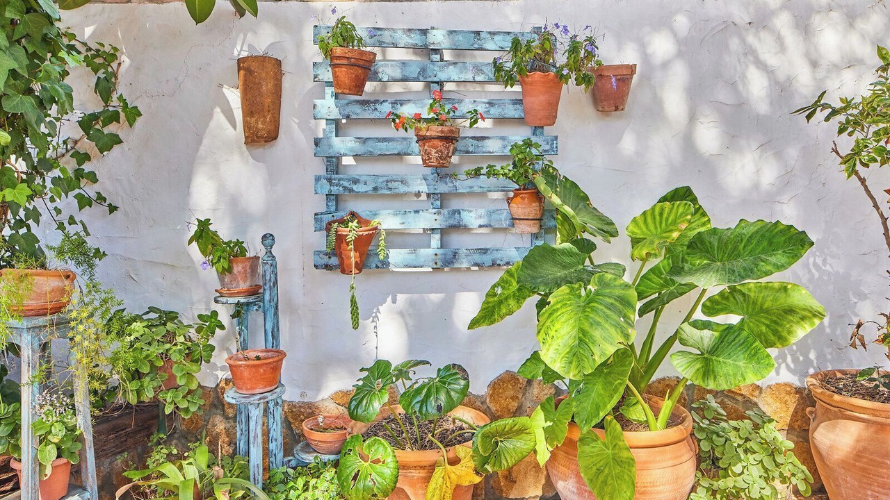 Photo of Outdoor in Los Gallos-Cerromolino