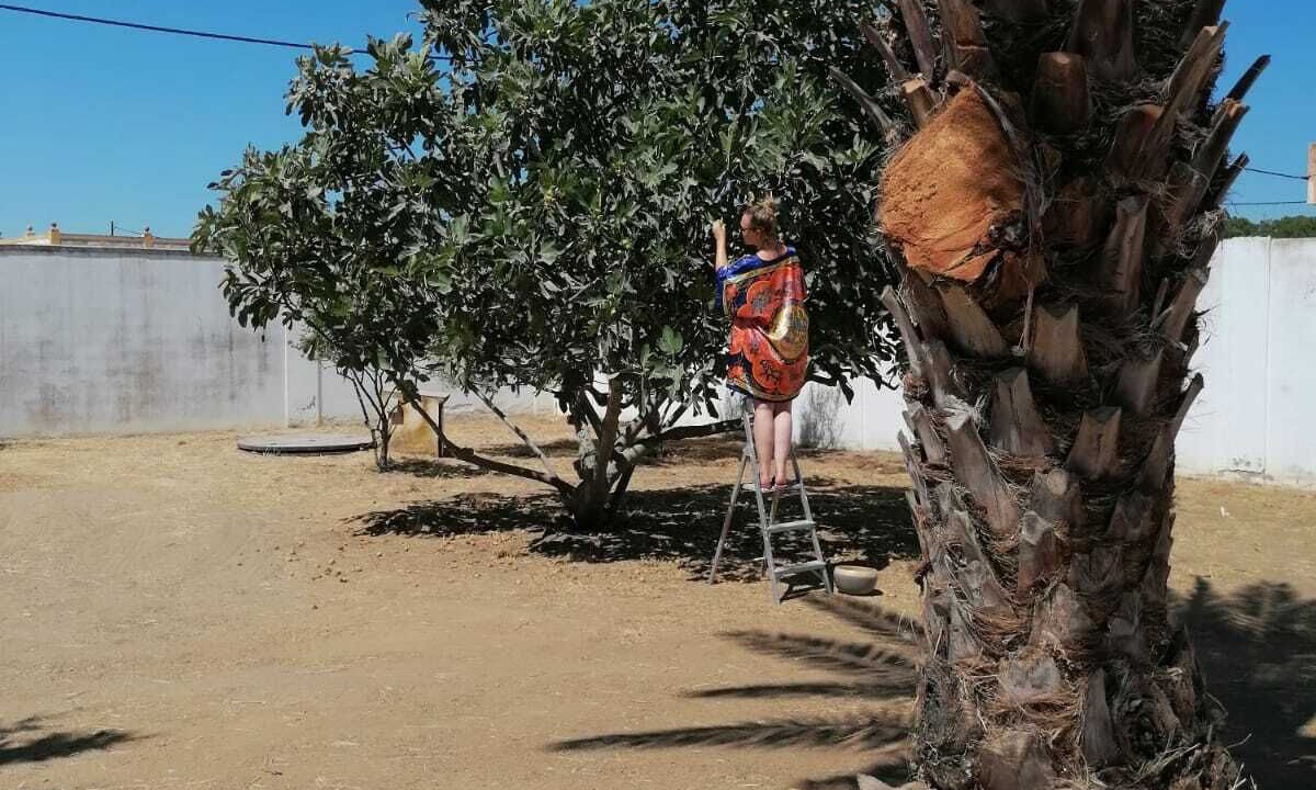 Photo of Outdoor in Marchena