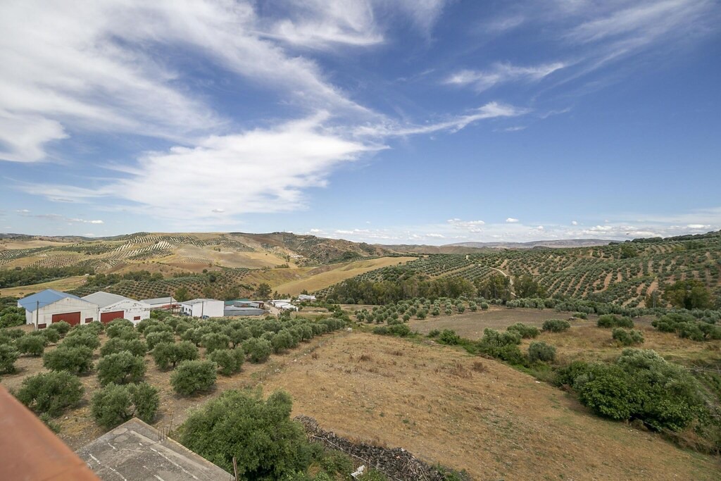 Photo of Others in Villanueva de San Juan