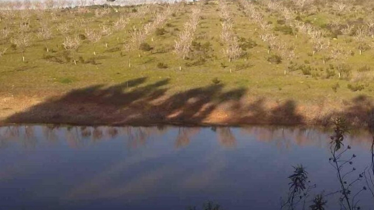 Photo of Others in Valverde del Camino