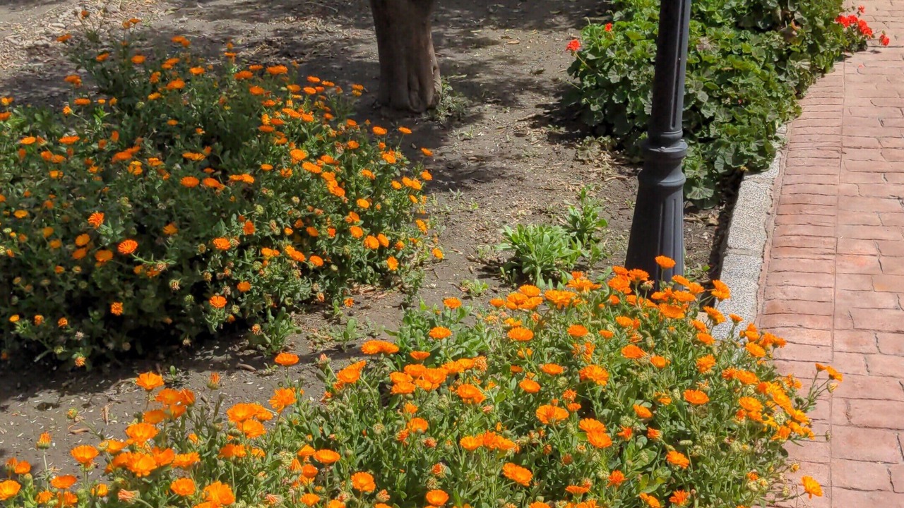 Photo of Outdoor in Murchas