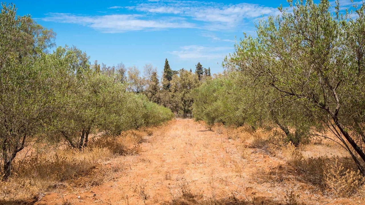 Photo of Outdoor in Mairena del Alcor