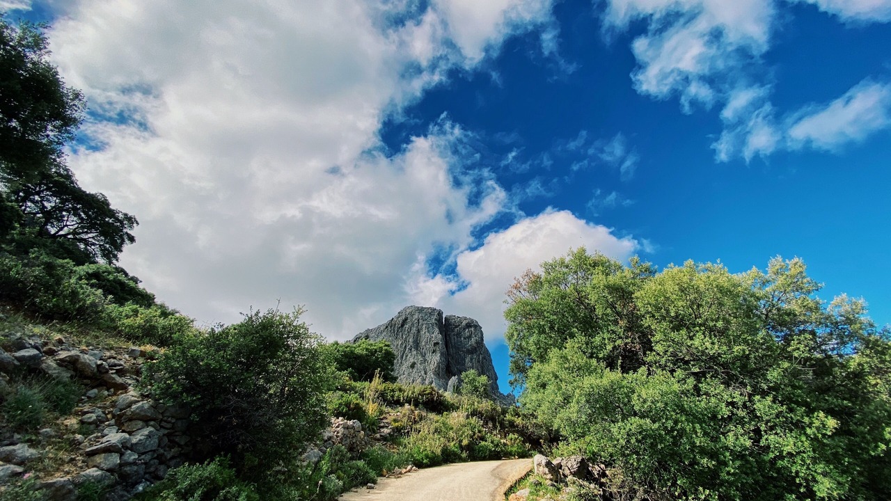 Photo of Outdoor in Benadalid