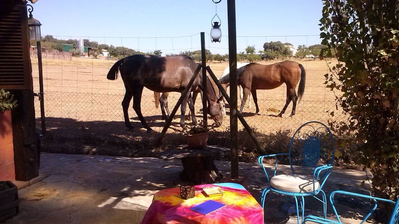 Photo of Outdoor in Archidona