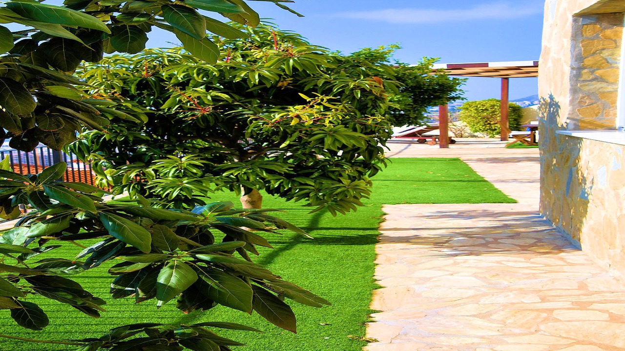 Photo of Outdoor in Torre de Benagalbon