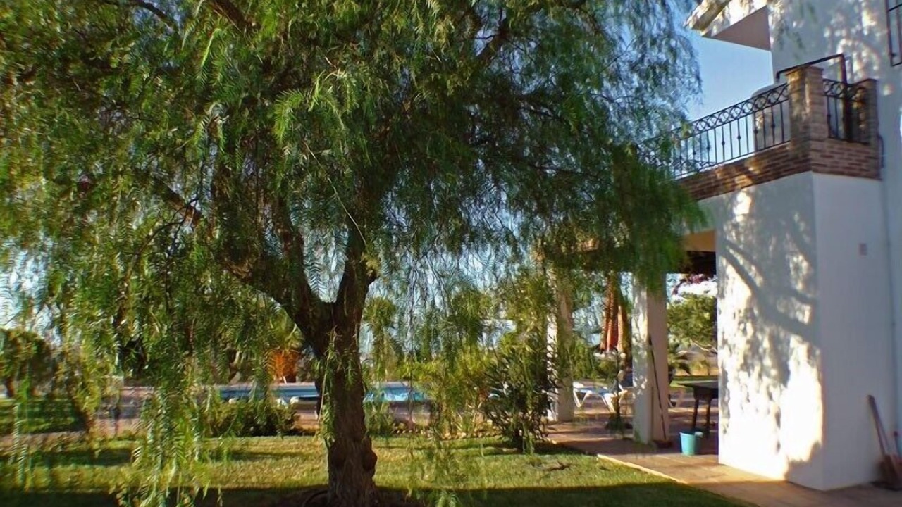 Photo of Outdoor in Velez-Malaga