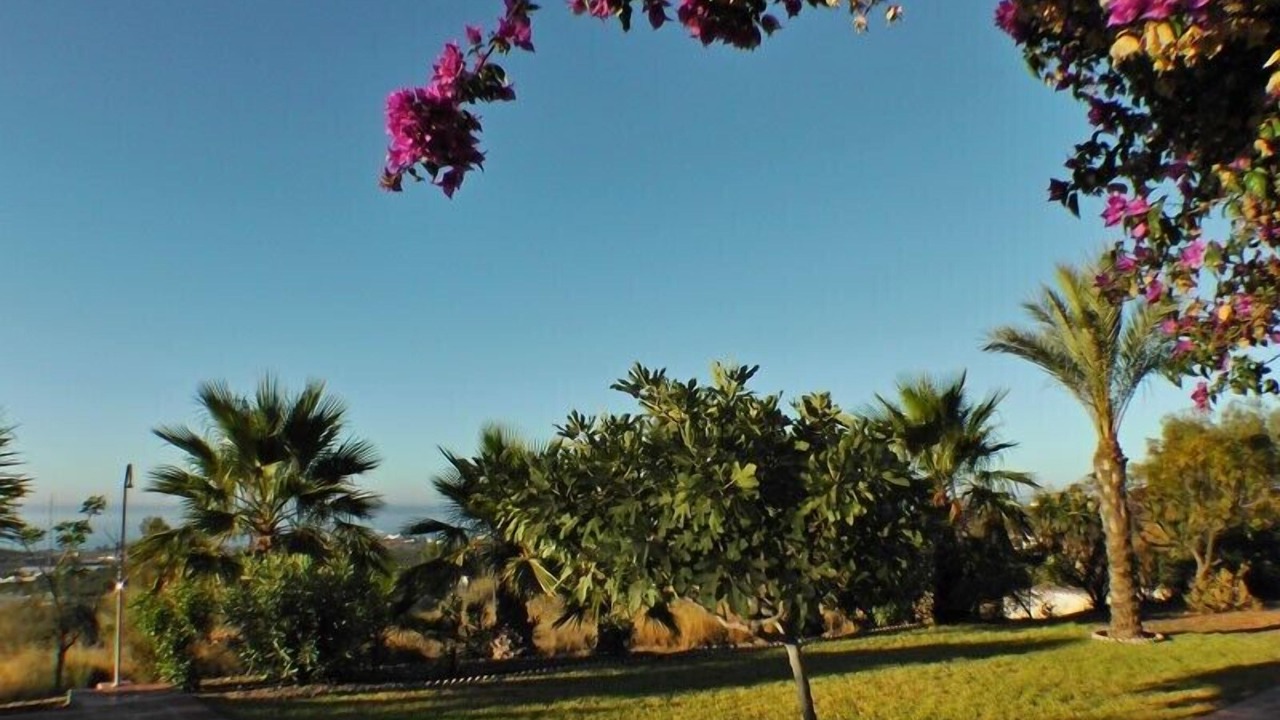 Photo of Outdoor in Velez-Malaga