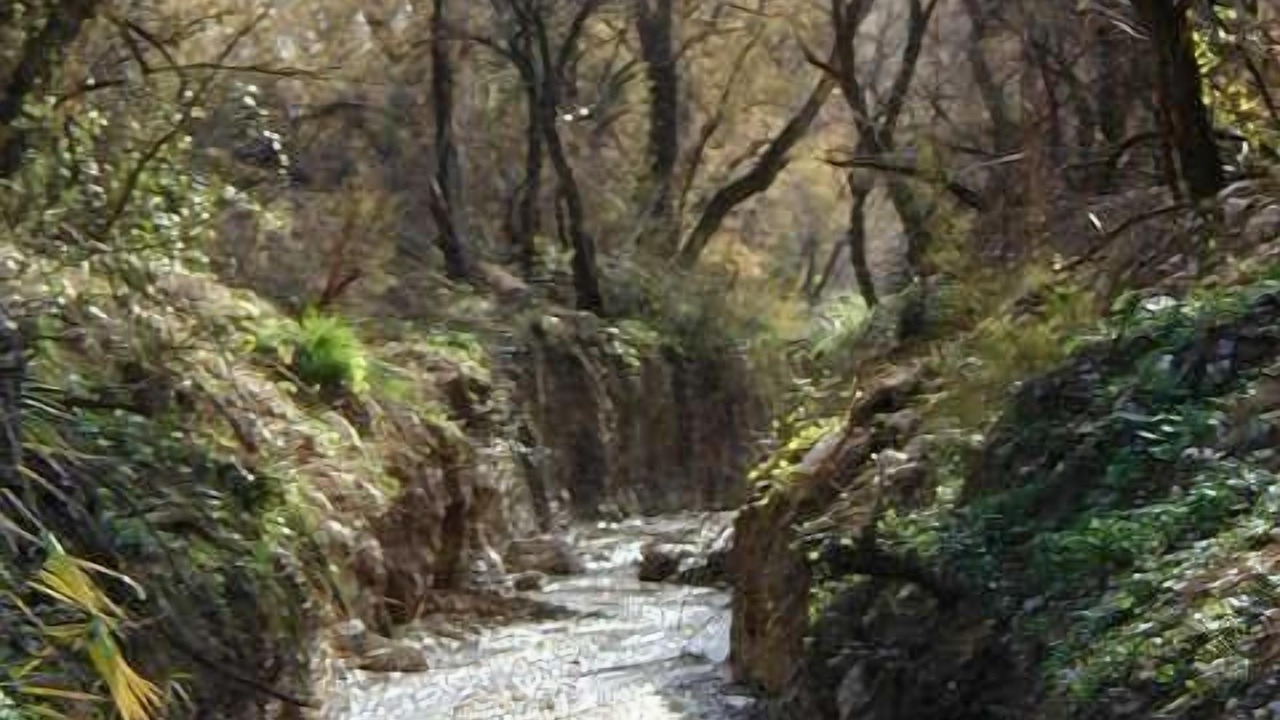 Photo of Others in Mancha Real