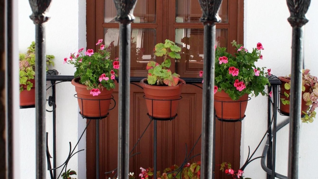 Photo of Outdoor in Guaro