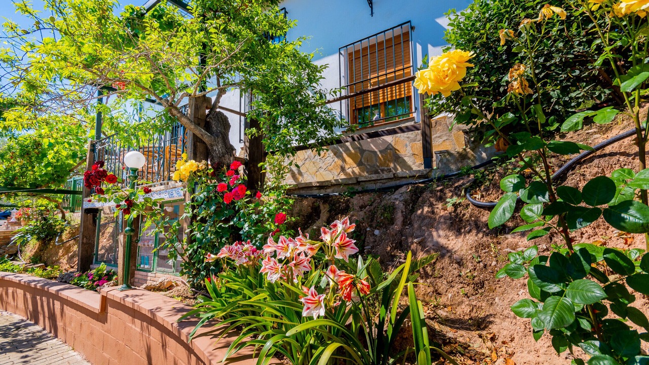 Photo of Outdoor in Ardales