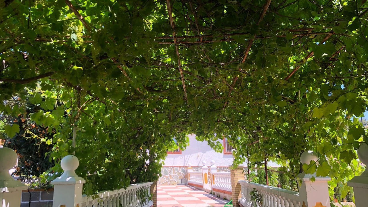 Photo of Outdoor in El Garrobo
