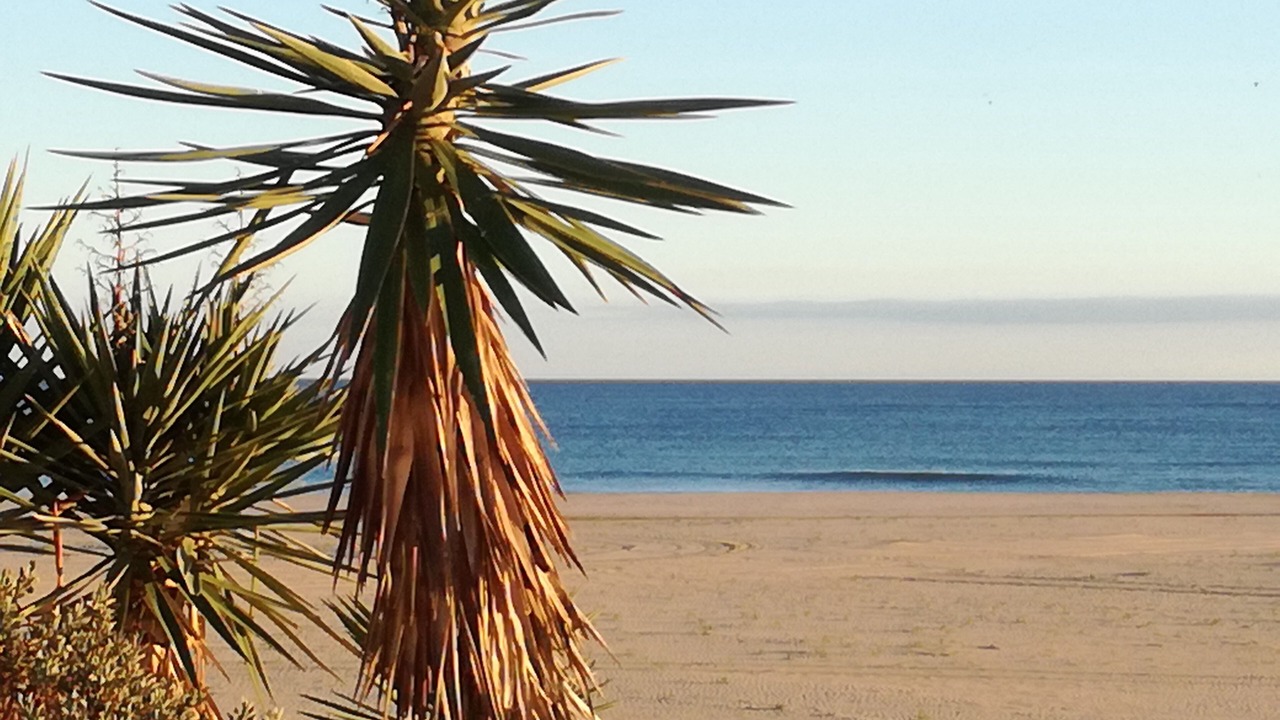 Photo of Others in Costa Esuri