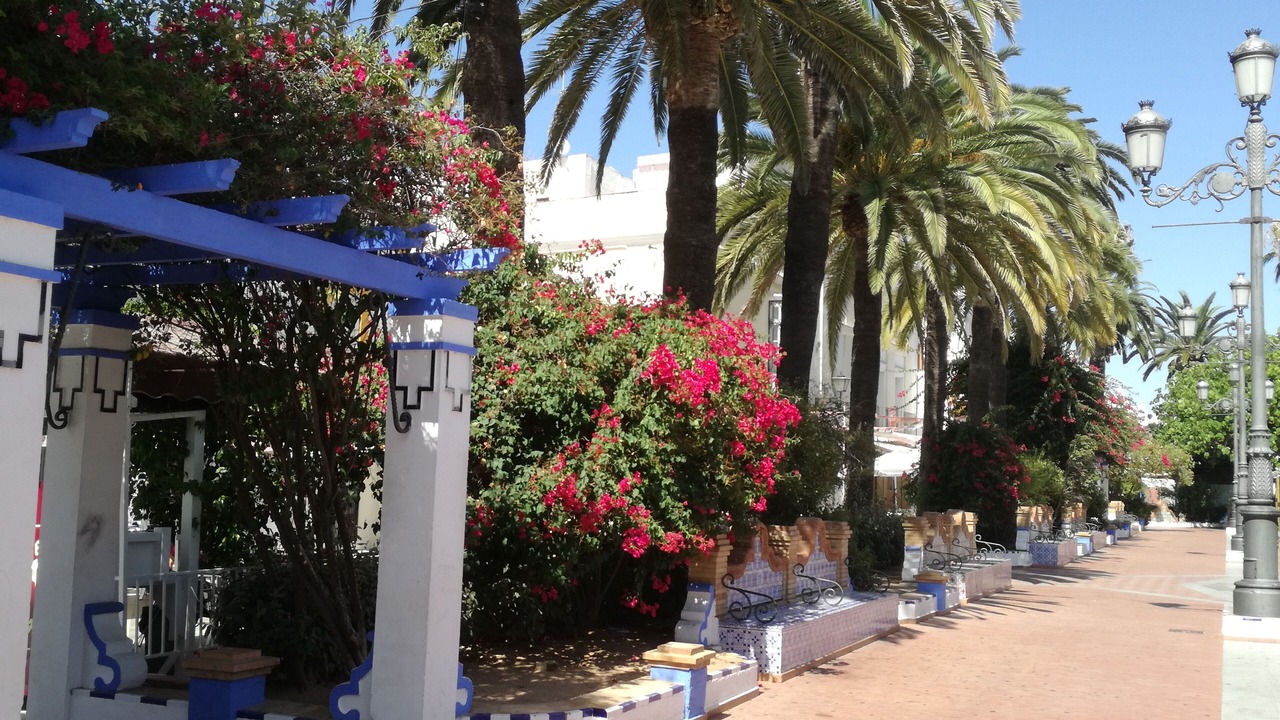 Photo of Outdoor in Costa Esuri