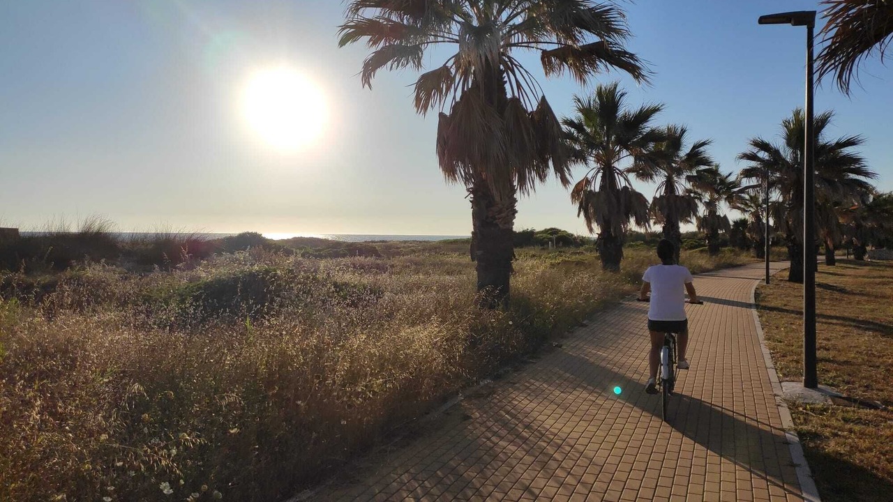Photo of Others in Rota
