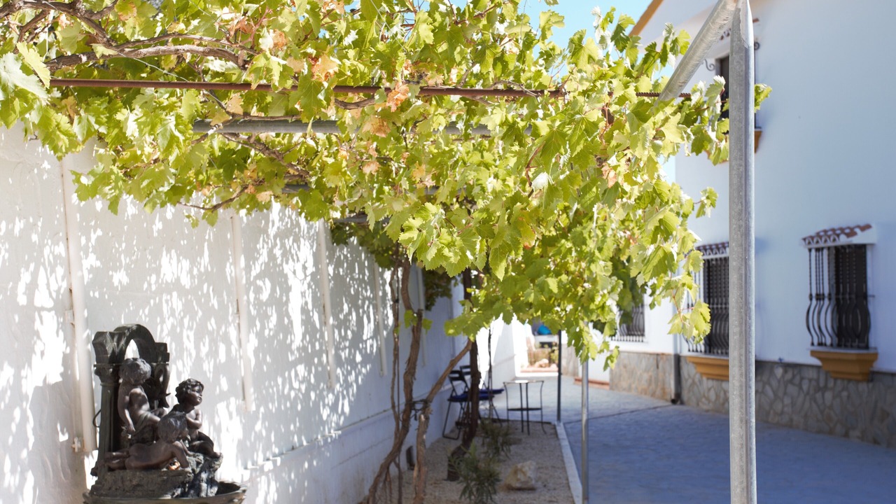 Photo of Outdoor in Villanueva del Trabuco