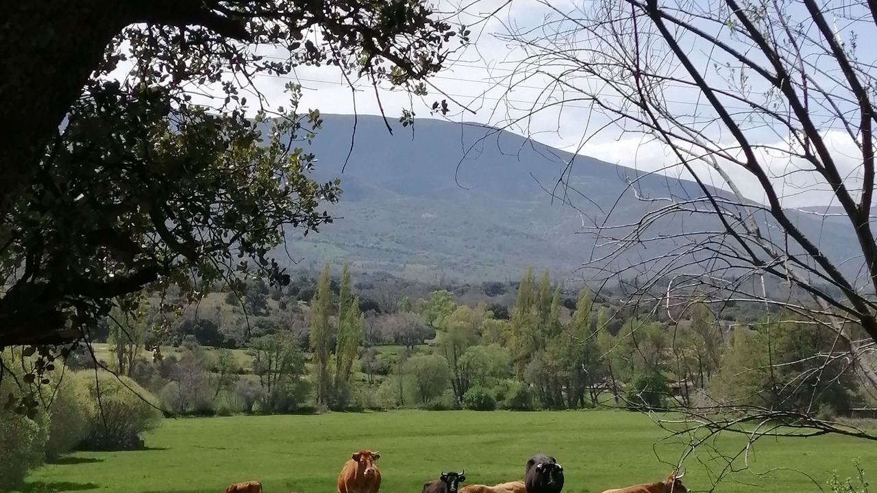 Photo of Outdoor in Bonilla de la Sierra