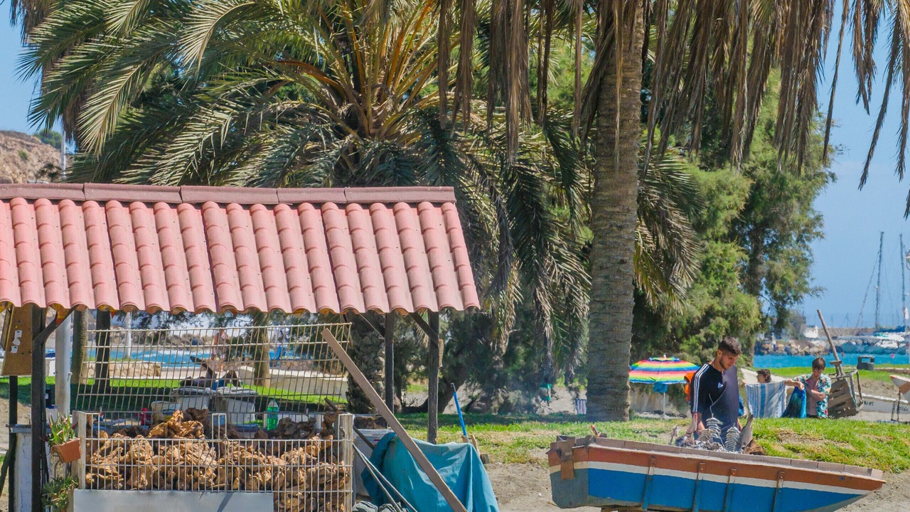 Photo of Others in La Cala del Moral