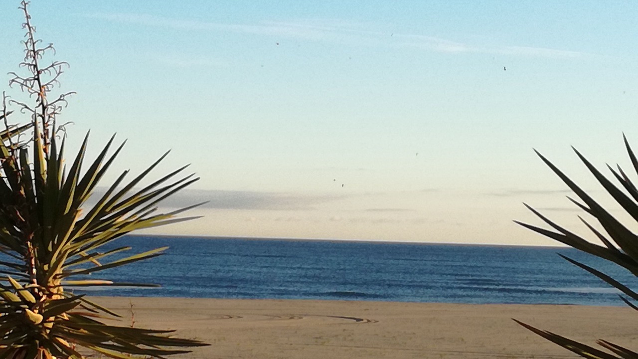 Photo of Others in Costa Esuri