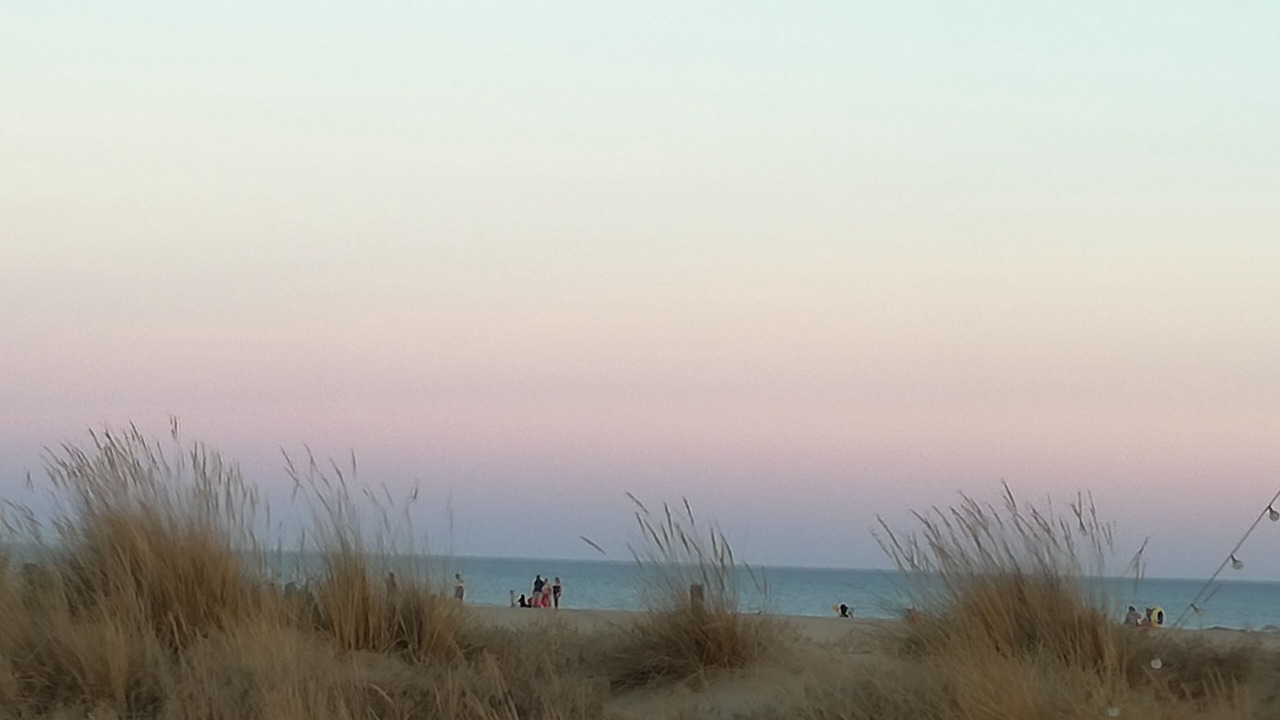 Photo of Others in Costa Esuri