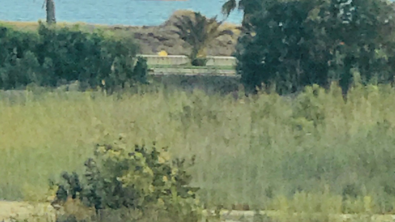 Photo of Others in Almerimar