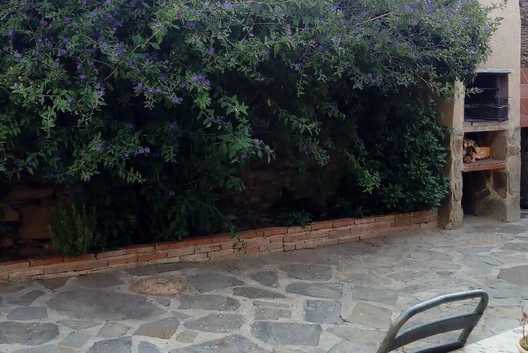 Photo of Outdoor in Botija