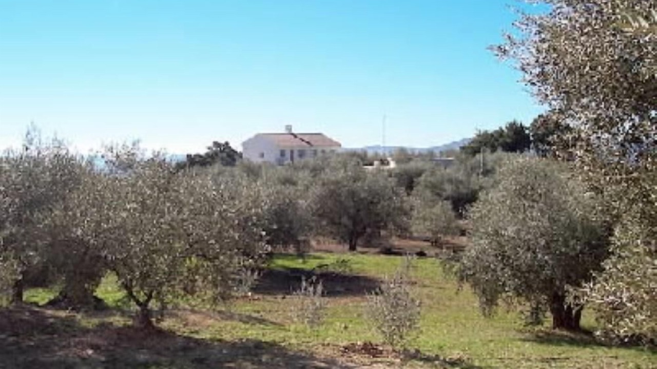 Photo of Outdoor in Periana