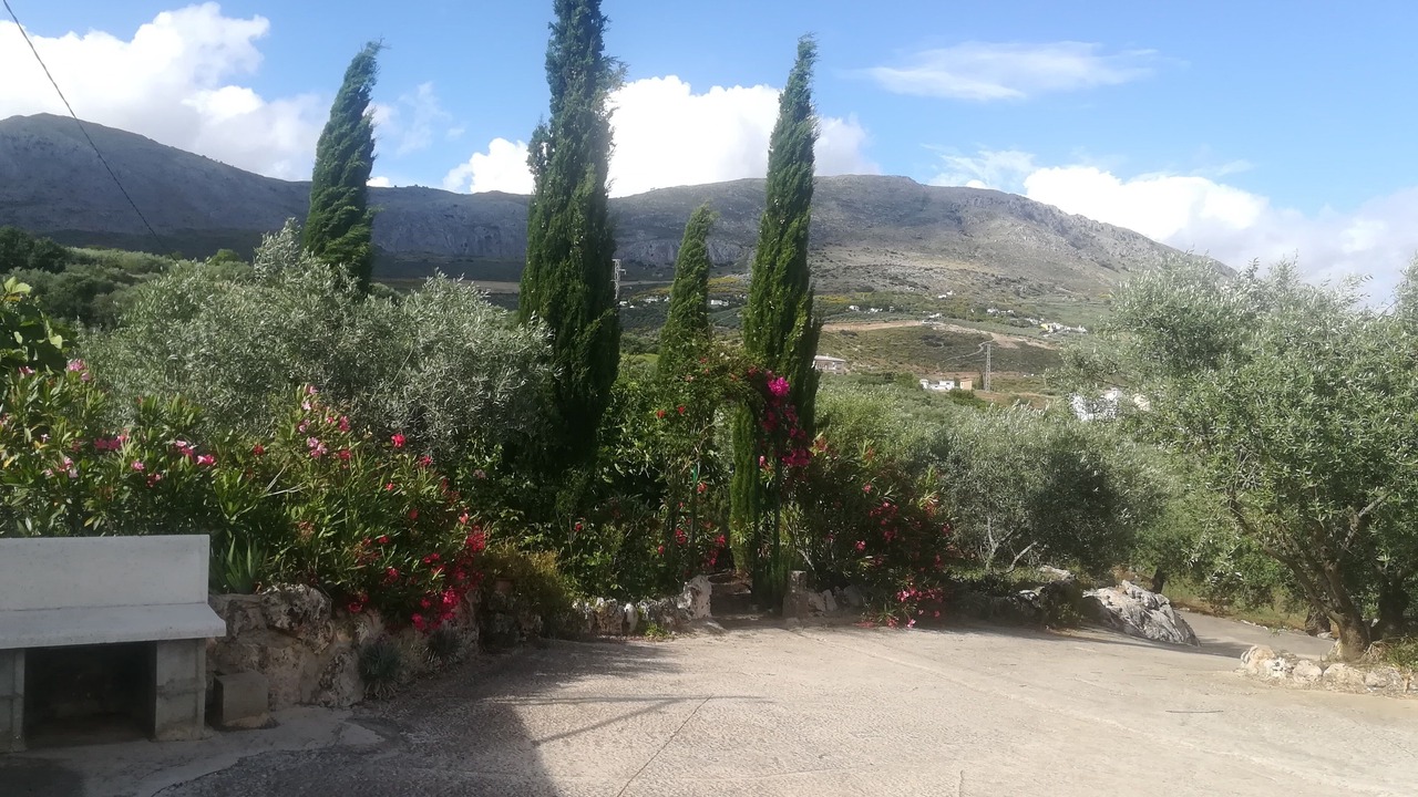 Photo of Outdoor in Periana