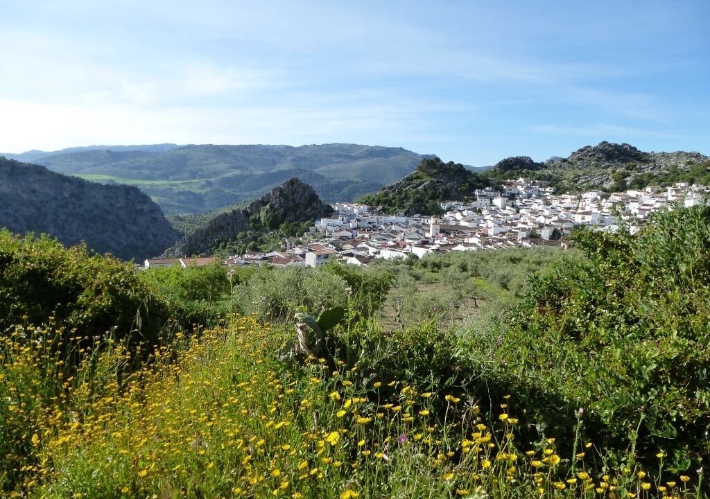 Photo of Outdoor in Montejaque