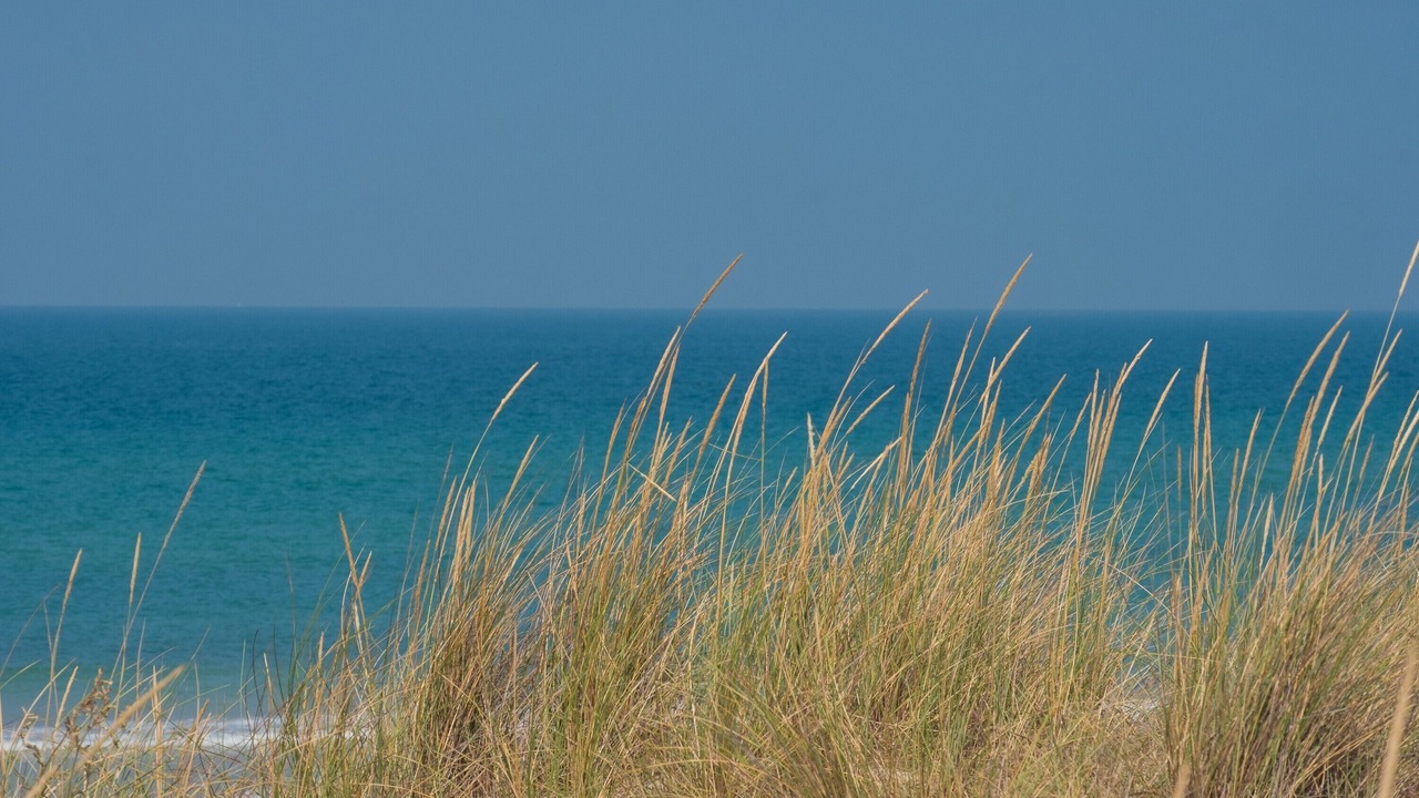 Photo of Others in El Palmar