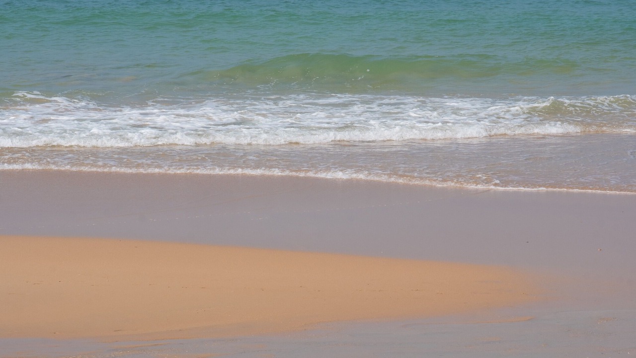 Photo of Others in El Palmar