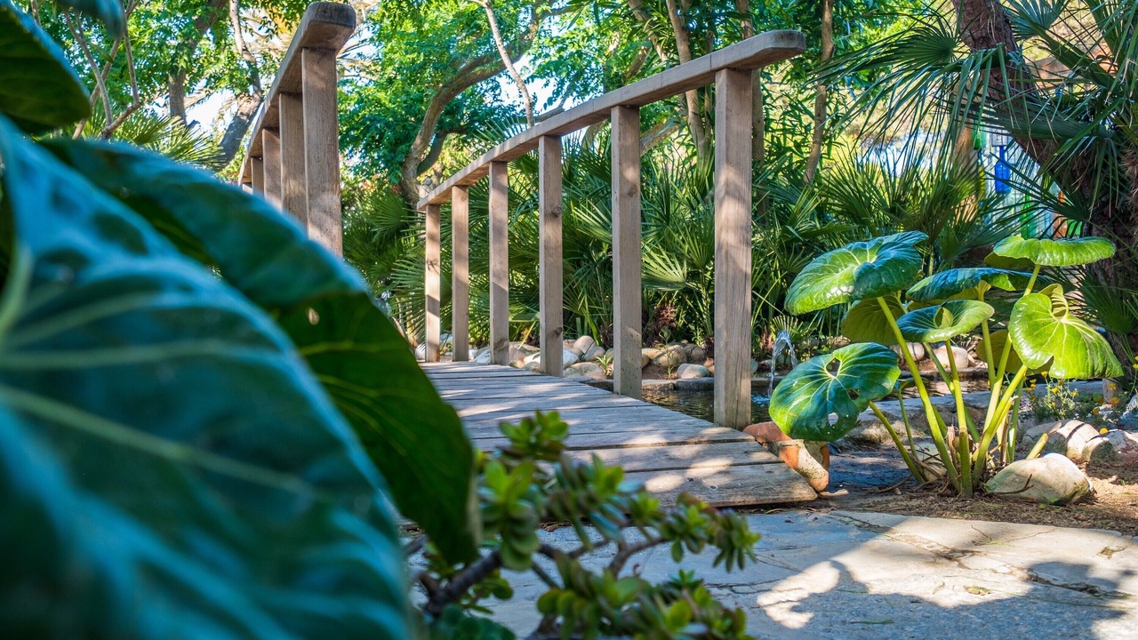 Photo of Outdoor in El Palmar