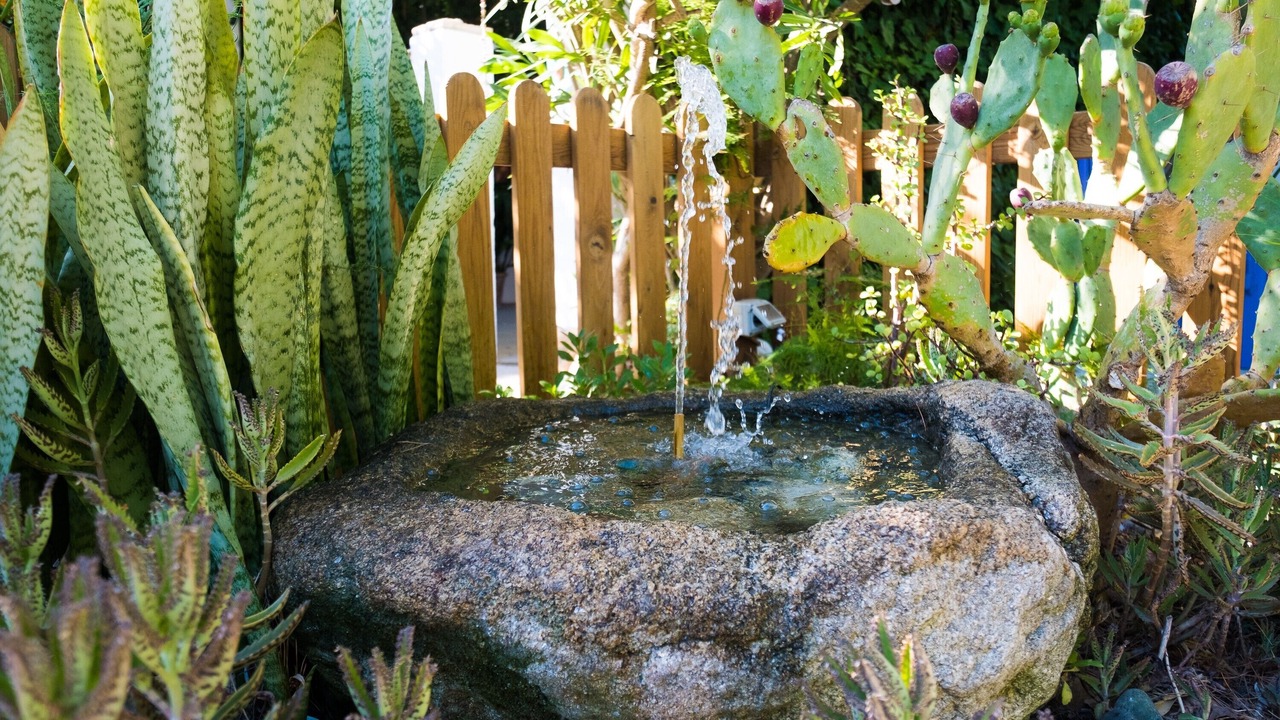 Photo of Outdoor in El Palmar